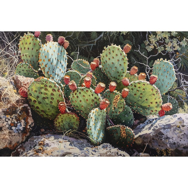Oil canvas of Cactus